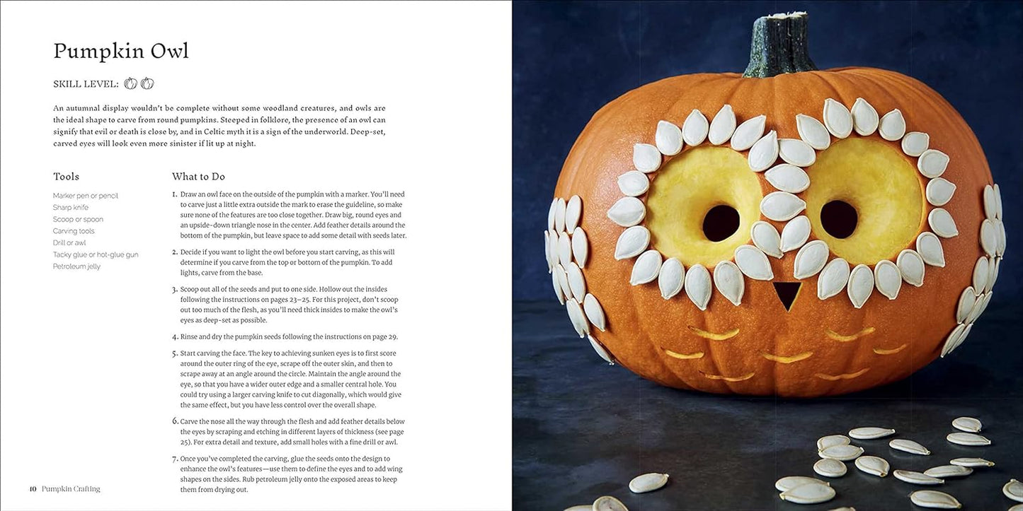 Pumpkin Crafting Book