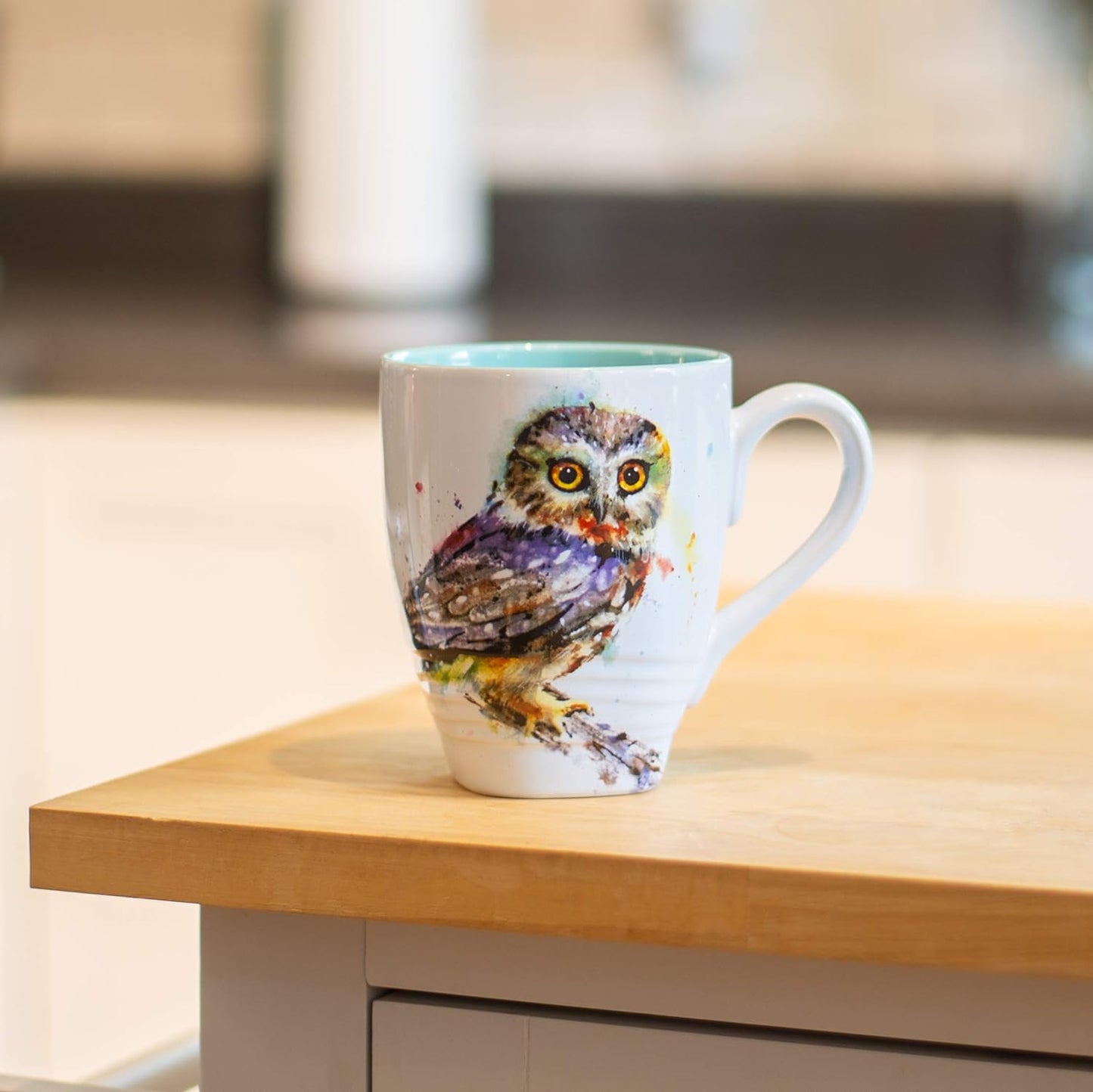 Saw Whet Owl Mug DC