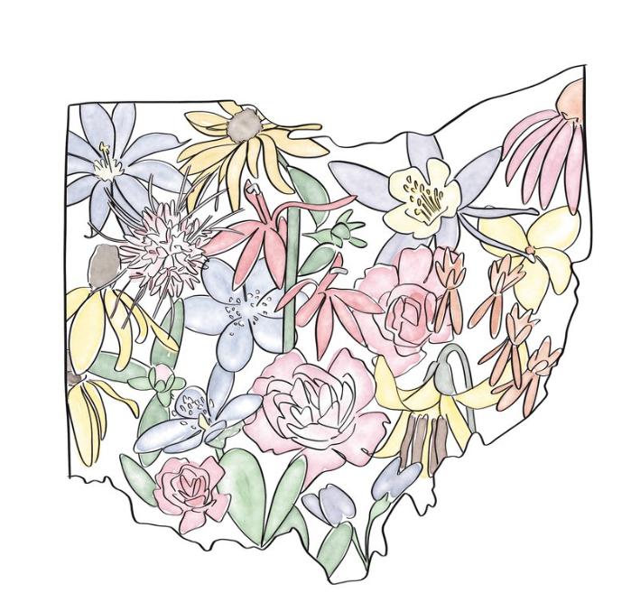 Wildflower Ohio Sticker