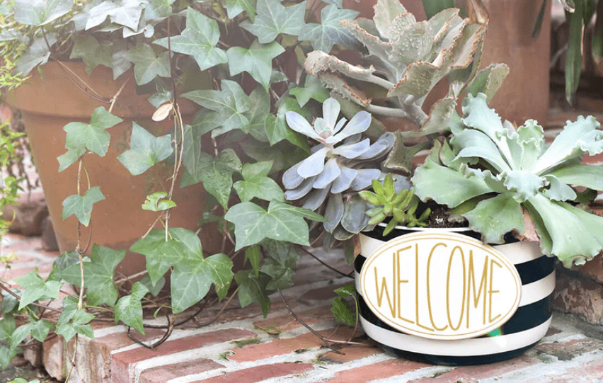 Black Stripe Big Happy Everything Bowl