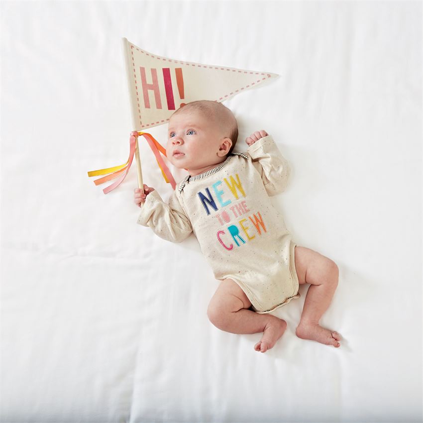 New to the Crew Pink Onesie and Pennant