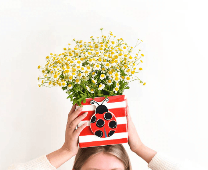 Ladybug Mini Attachment Happy Everything